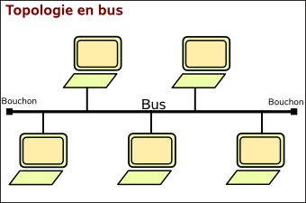 Topologie bus