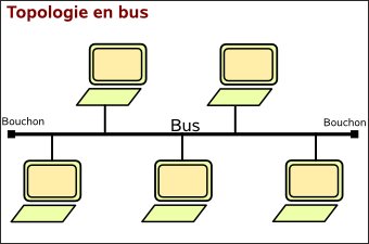 Topologie bus