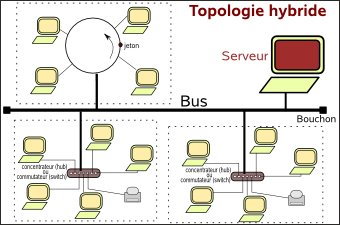 topolodie hybride